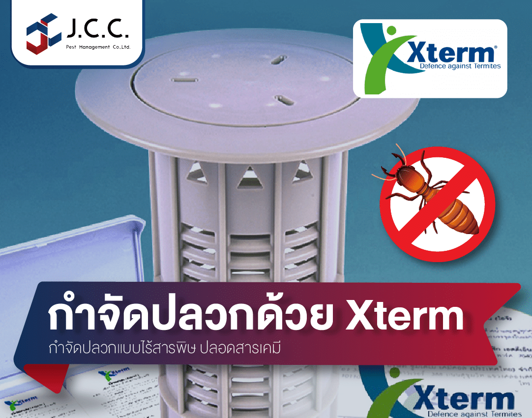 กำจัดปลวก Xterm 1
