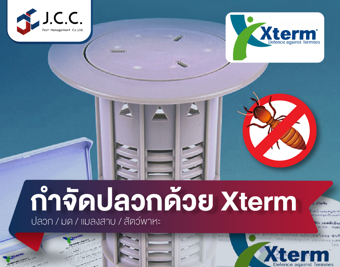 กำจัดปลวก Xterm