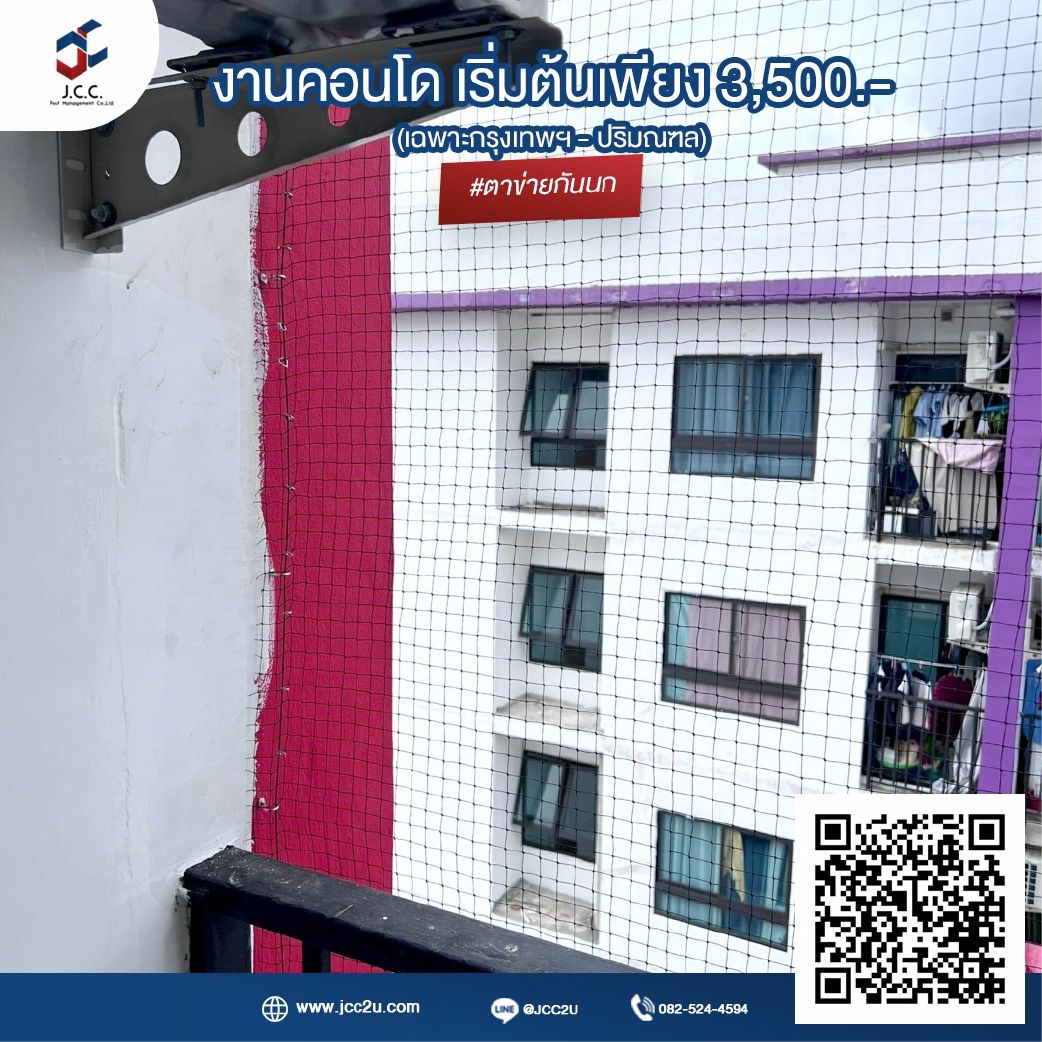 ติดตาข่ายกันนกคอนโด 8