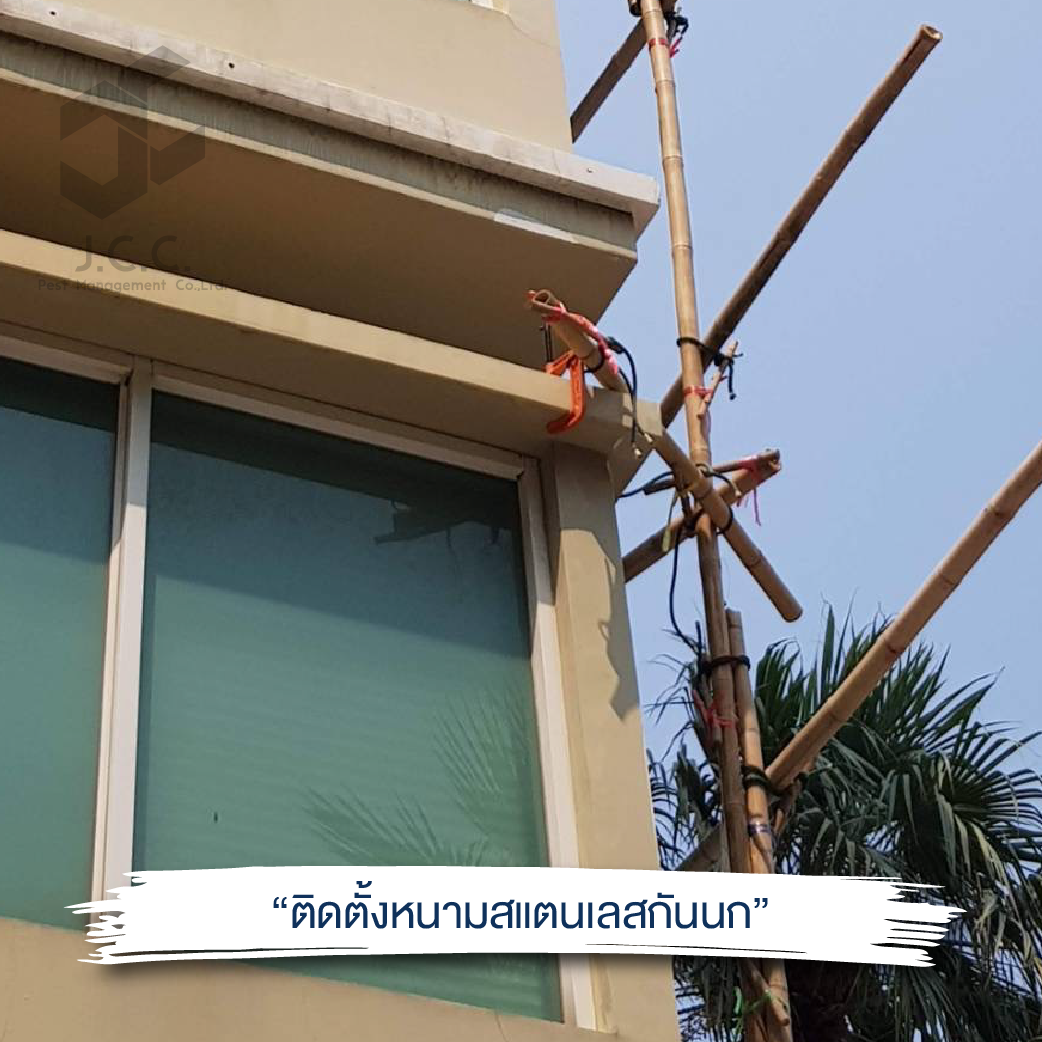 ติดหนามสแตนเลส 03