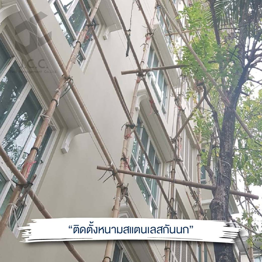 ติดหนามสแตนเลส 05