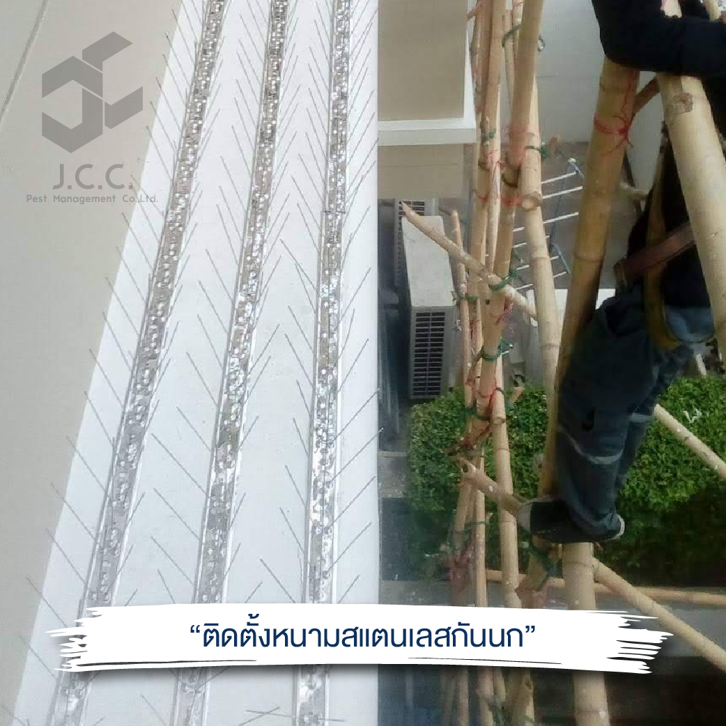 ติดหนามสแตนเลส 06