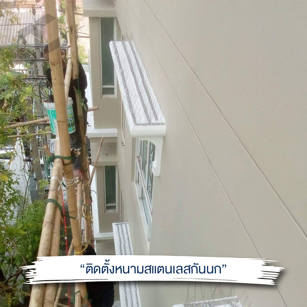 ติดหนามสแตนเลส 07