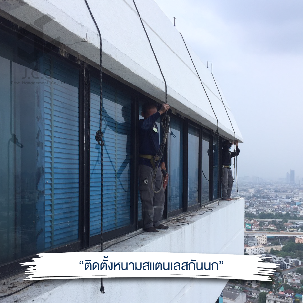 ติดหนามสแตนเลส 08