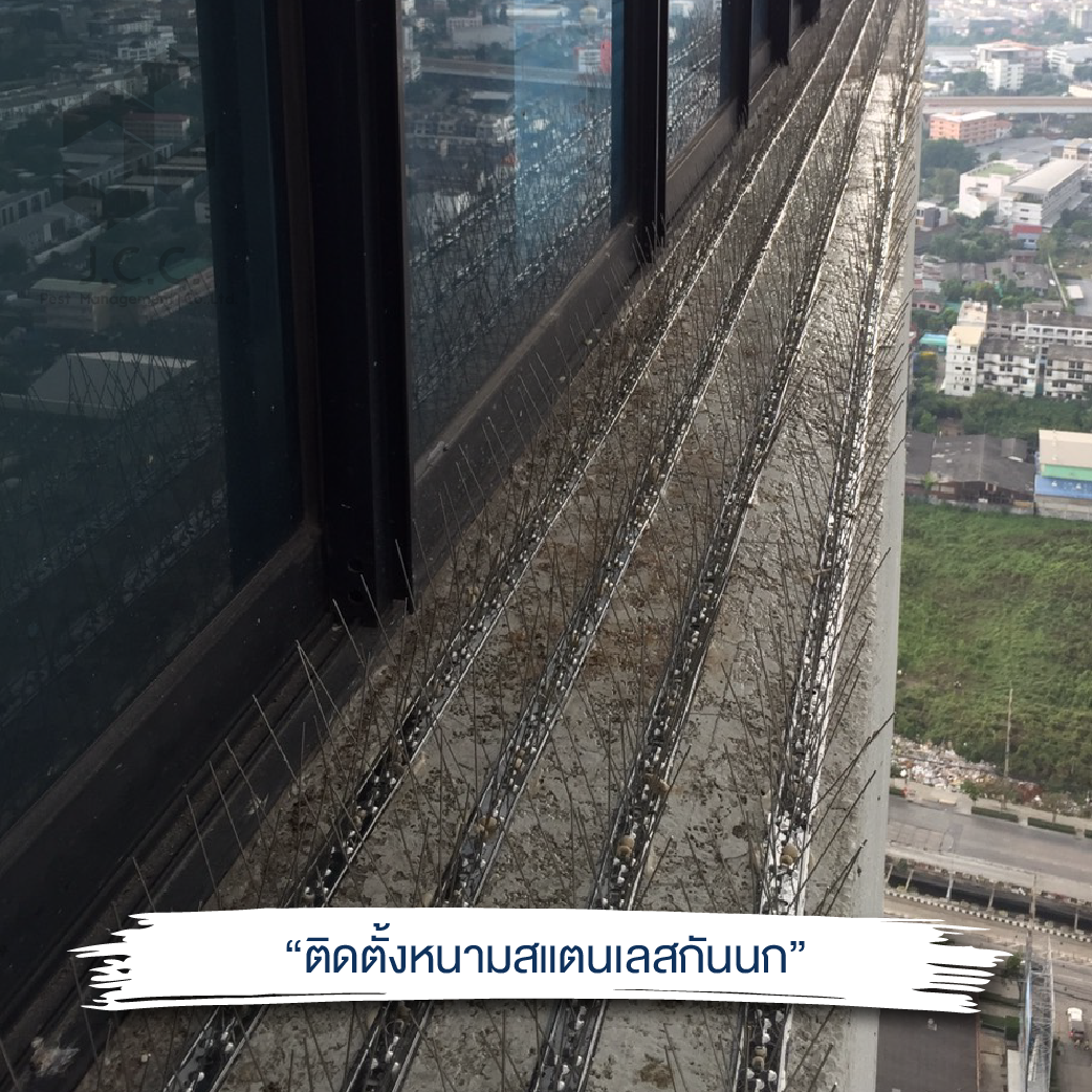 ติดหนามสแตนเลส 09