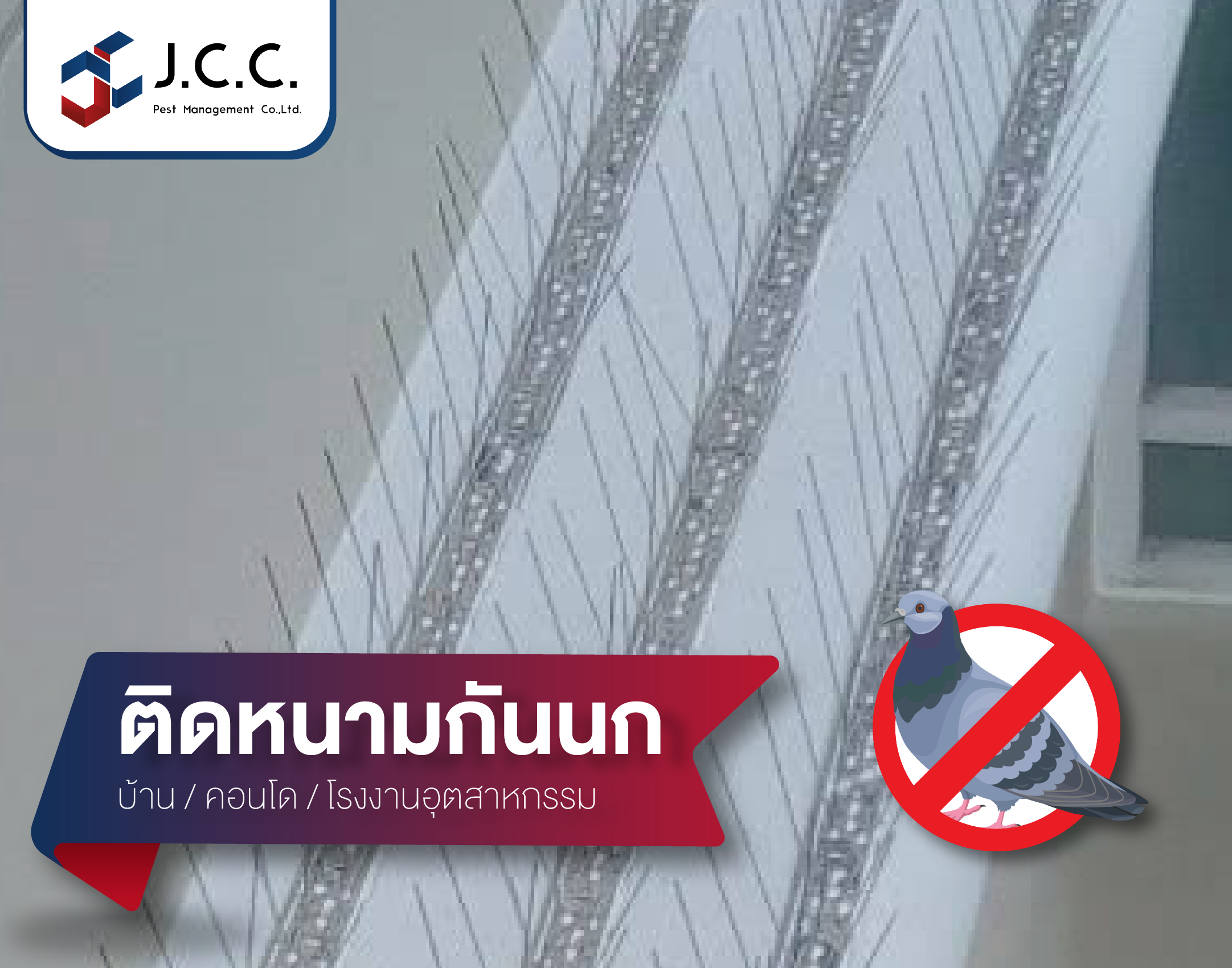 หนามเจลกันนก 01