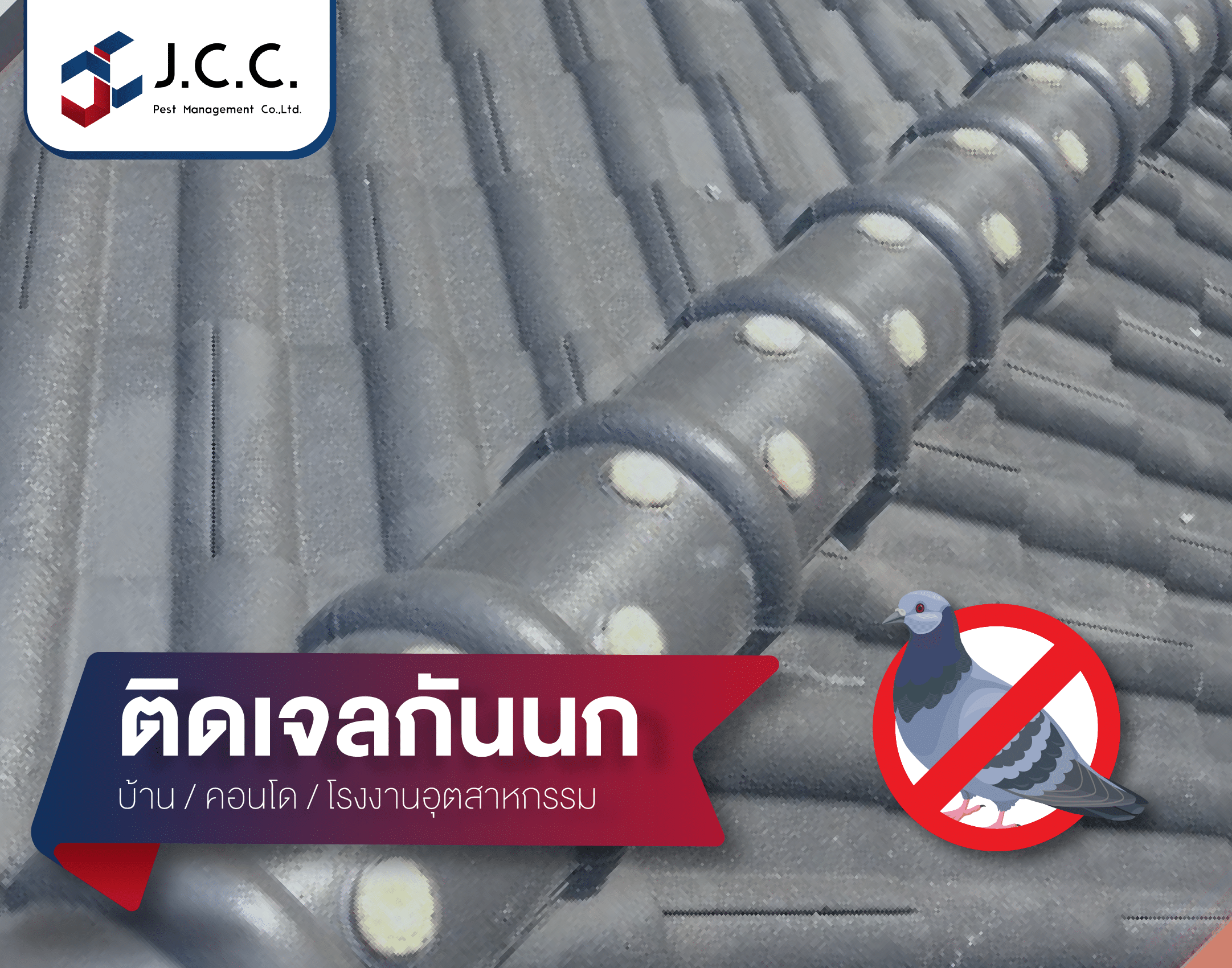 หนามเจลกันนก 02