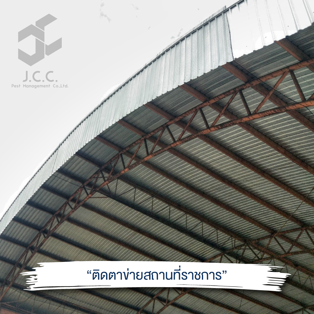 ไล่นก สถานที่ราชการ 06