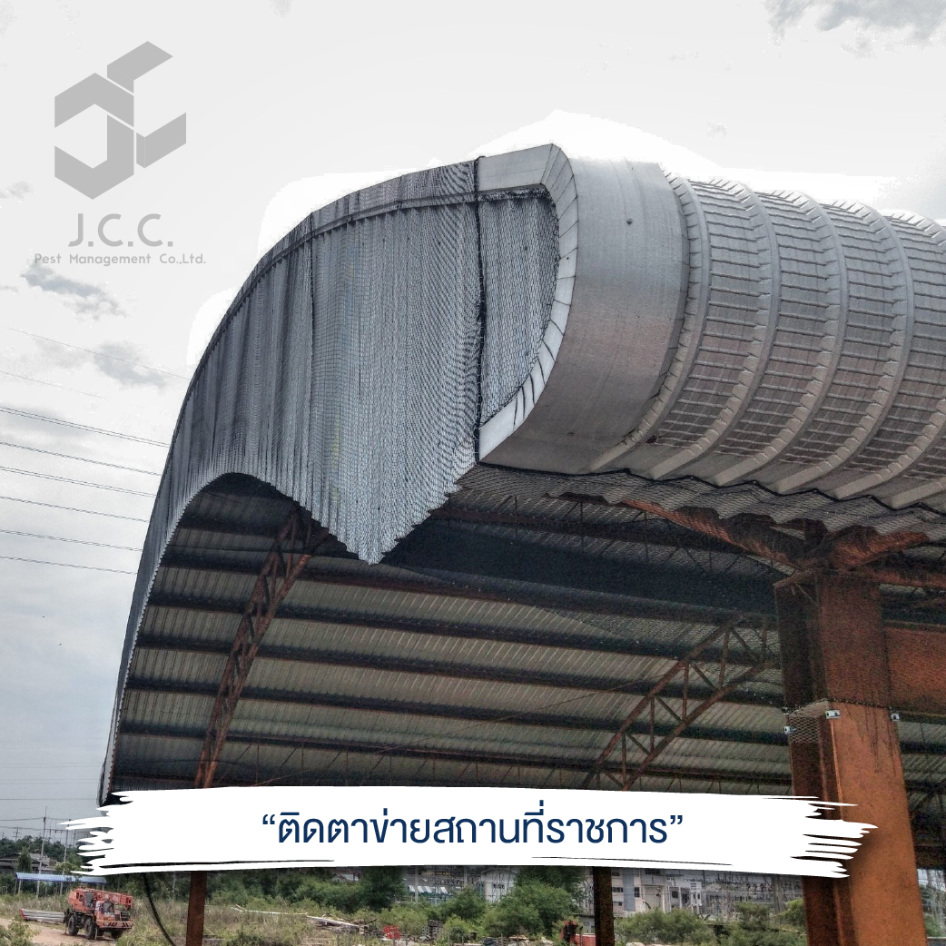 ไล่นก สถานที่ราชการ 09