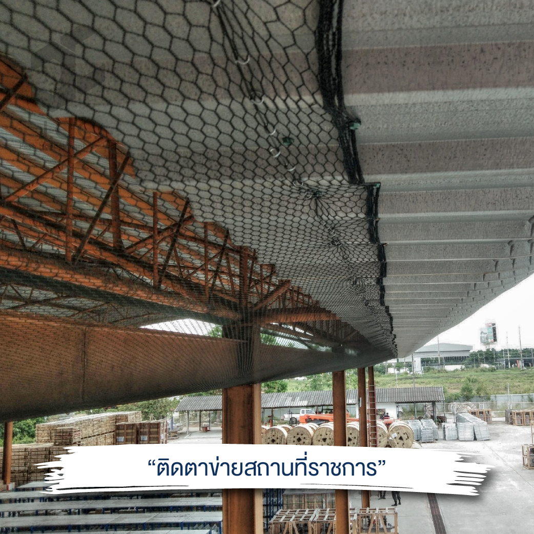 ไล่นก สถานที่ราชการ 10