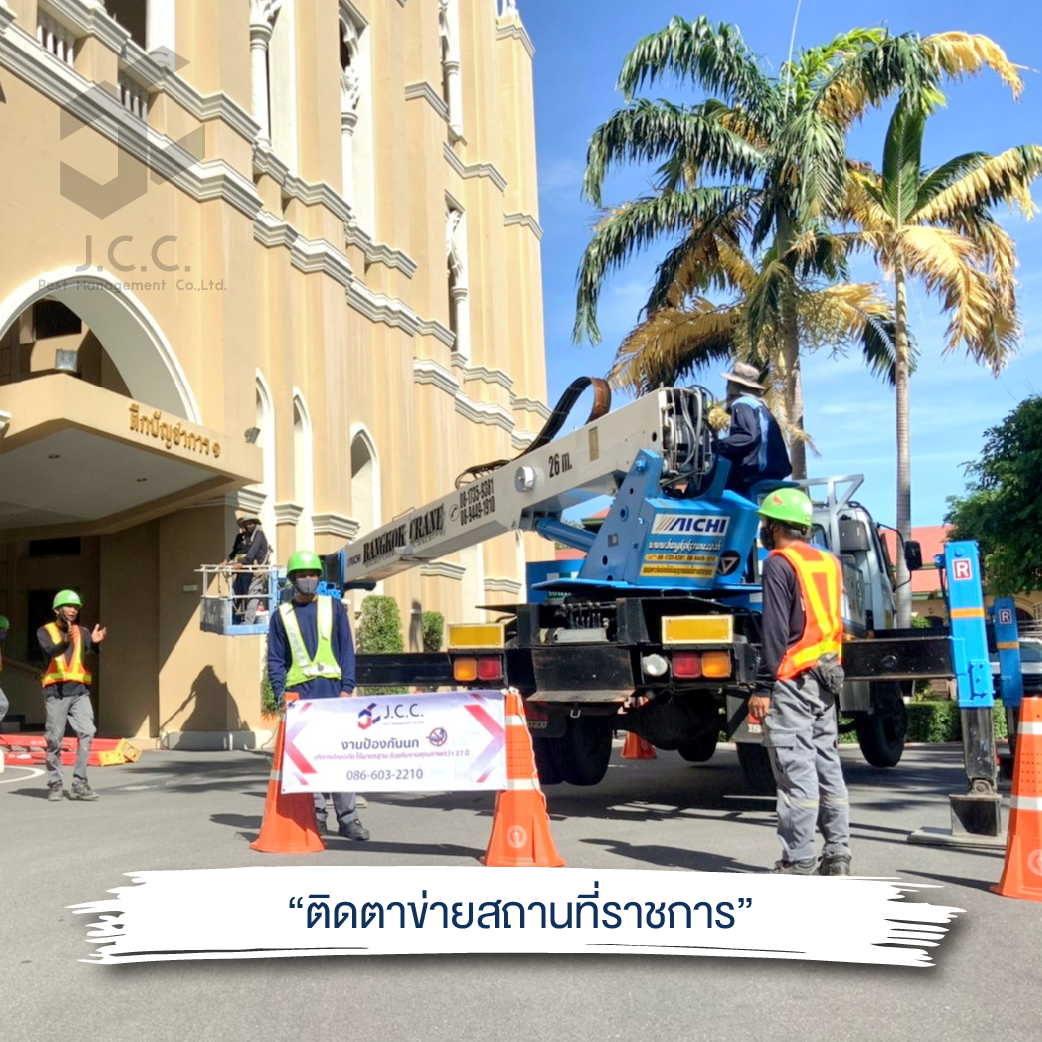 ไล่นก สถานที่ราชการ 11