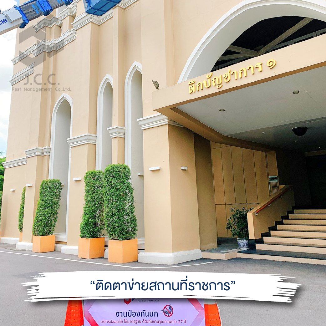 ไล่นก สถานที่ราชการ 12