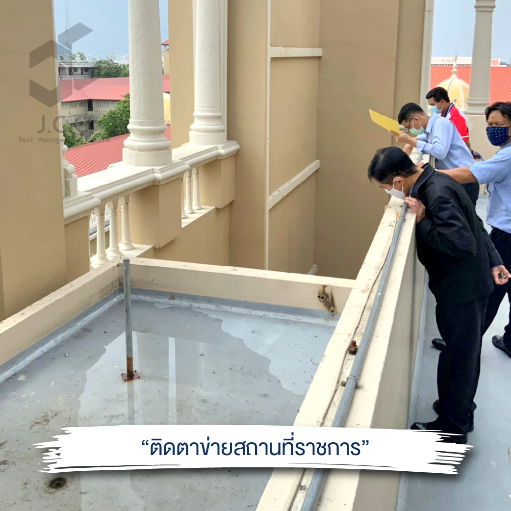 ไล่นก สถานที่ราชการ 14