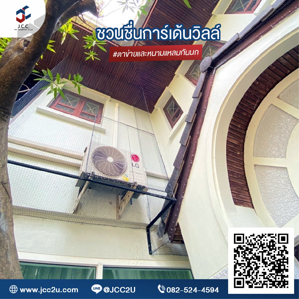 ไล่นกบ้าน 05