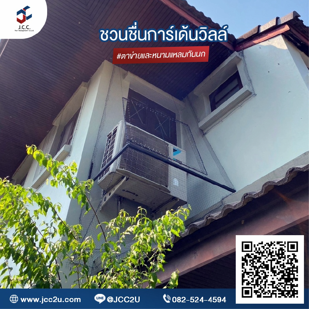 ไล่นกบ้าน 06