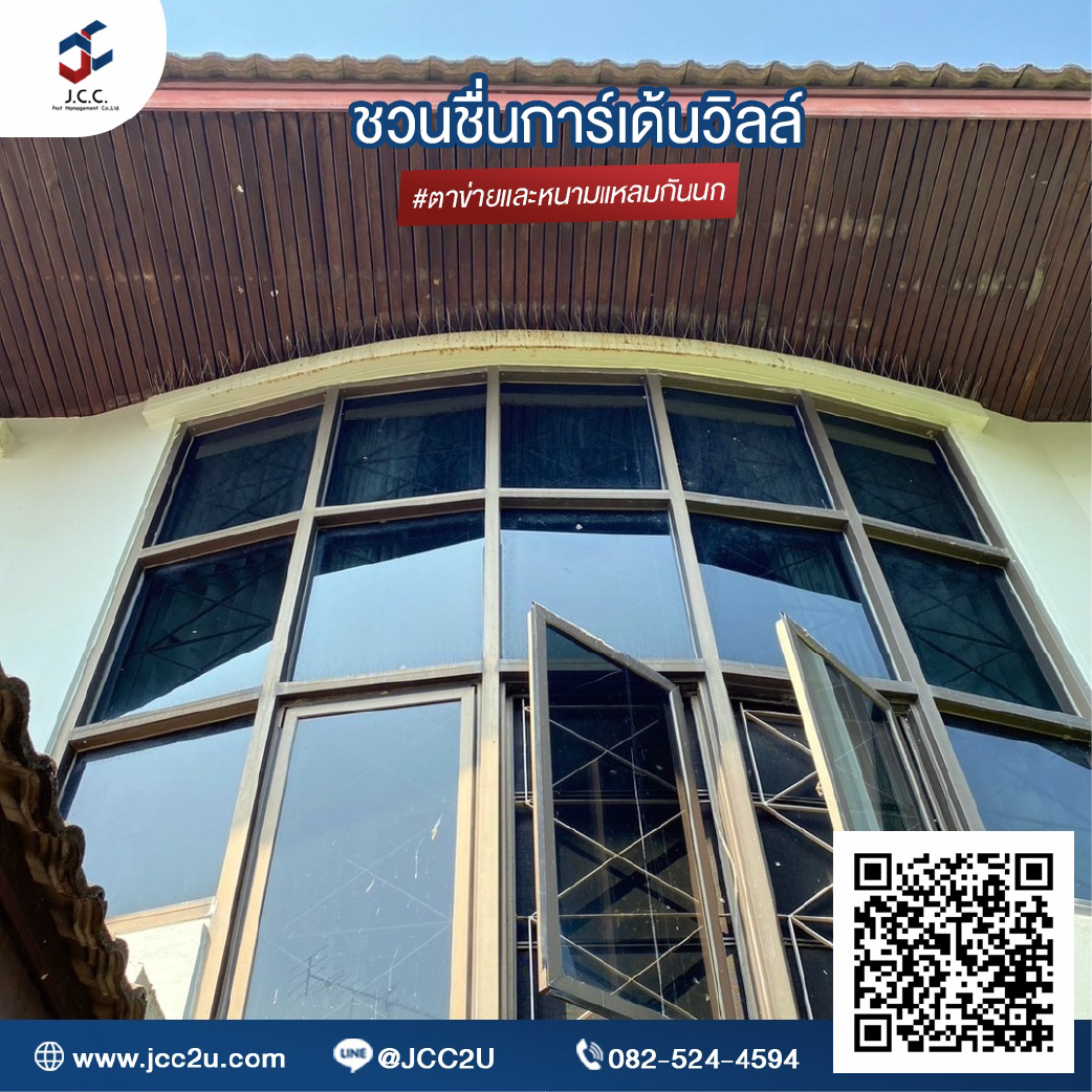 ไล่นกบ้าน 07