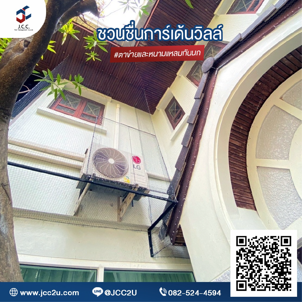 ไล่นกบ้าน 08