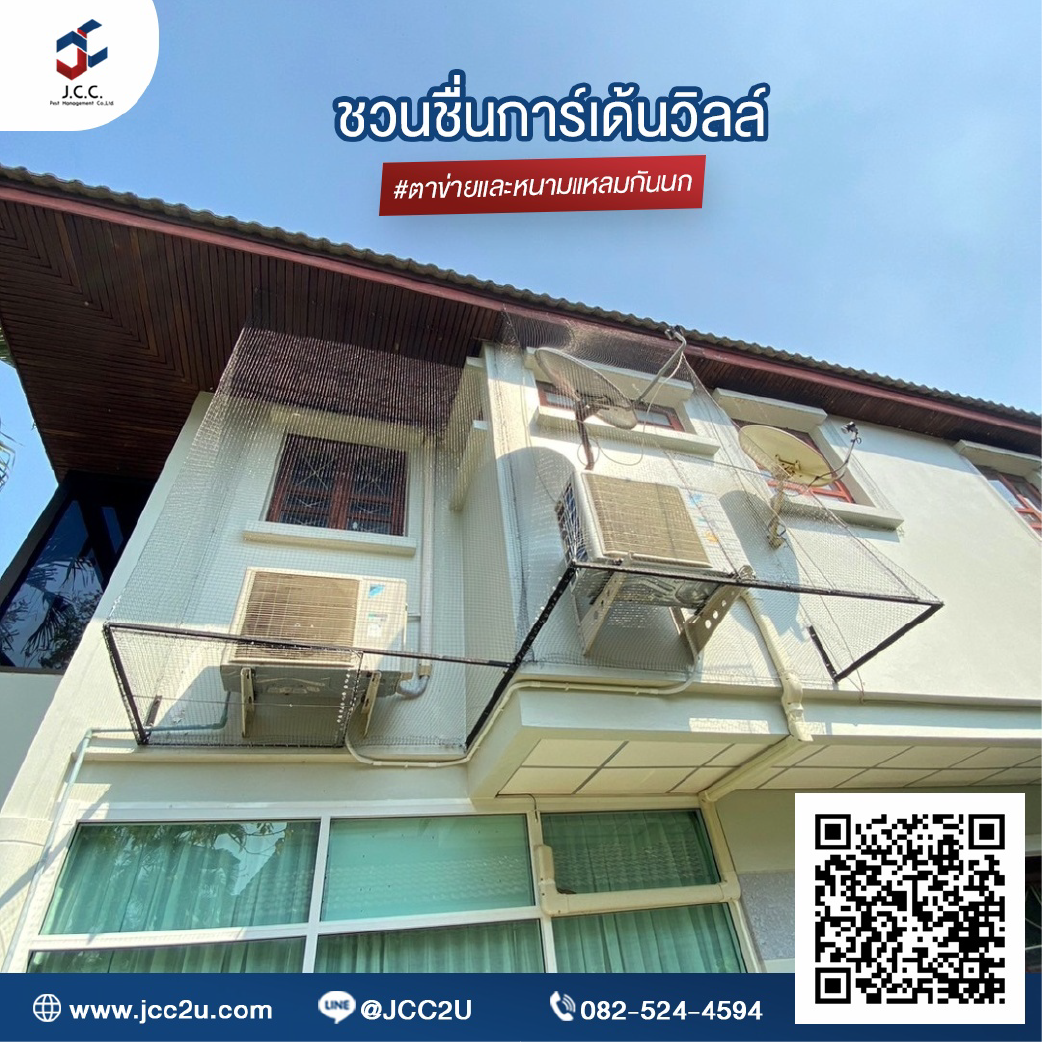 ไล่นกบ้าน 09