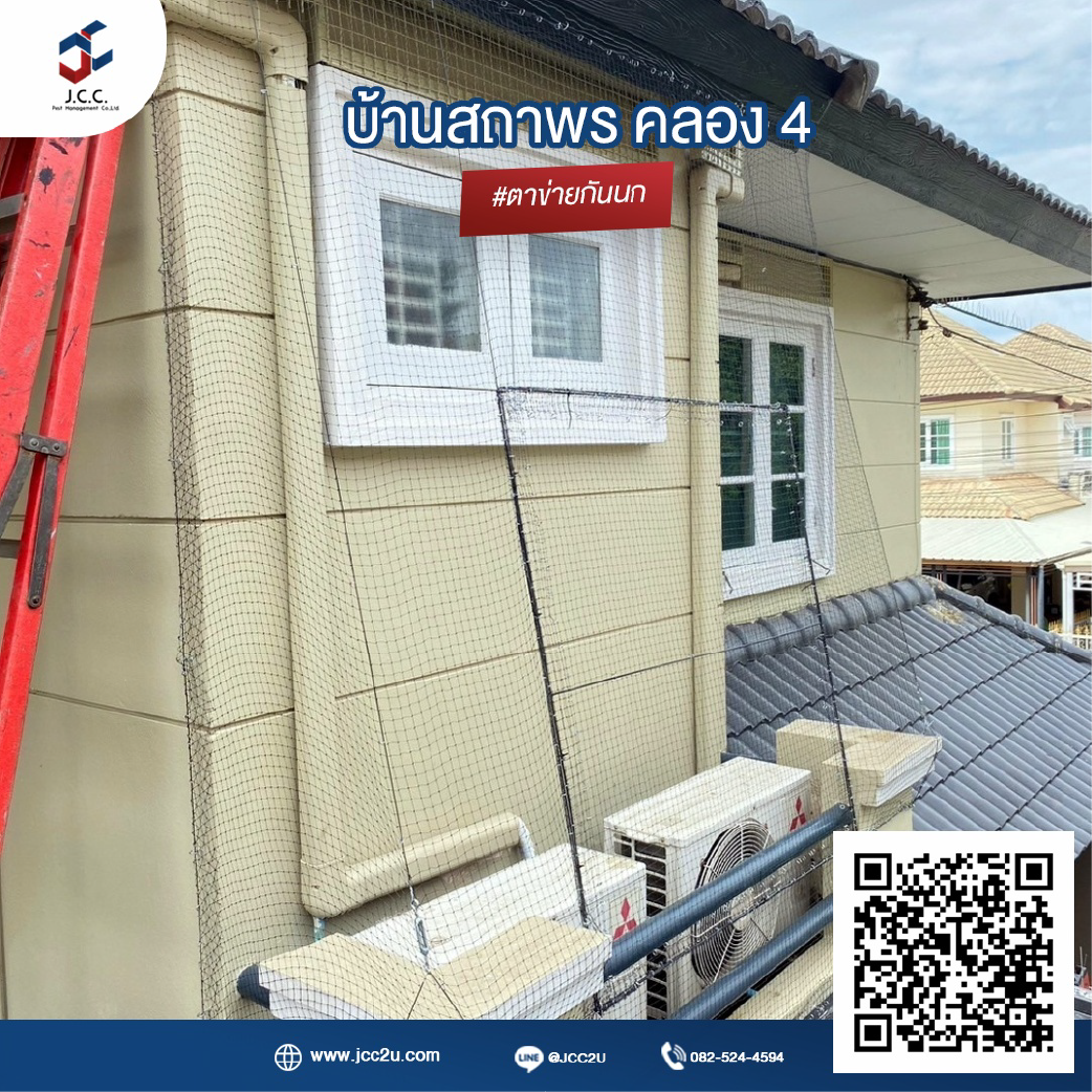 ไล่นกบ้าน 11