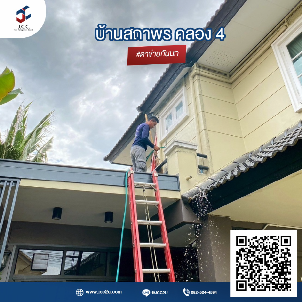 ไล่นกบ้าน 12