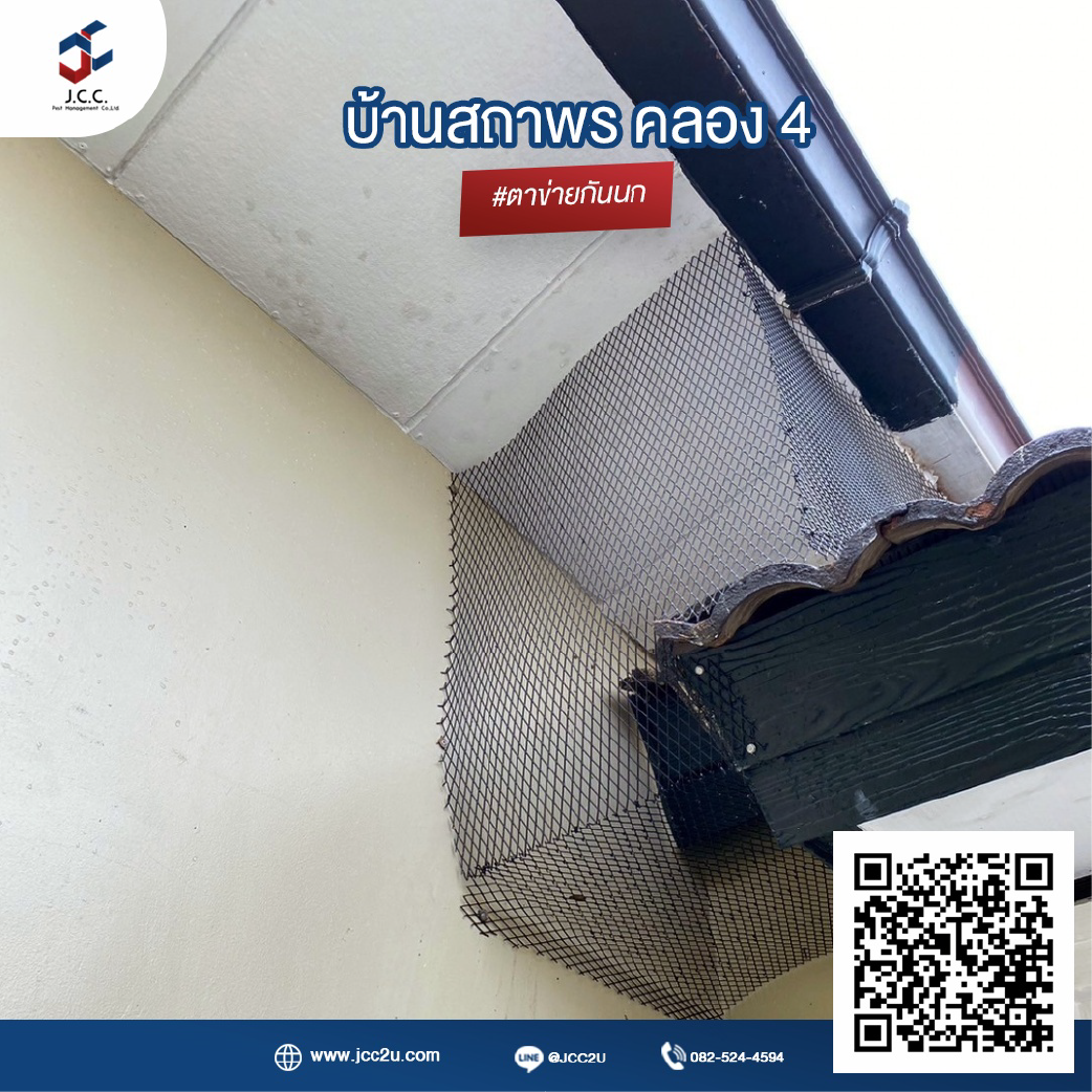 ไล่นกบ้าน 13