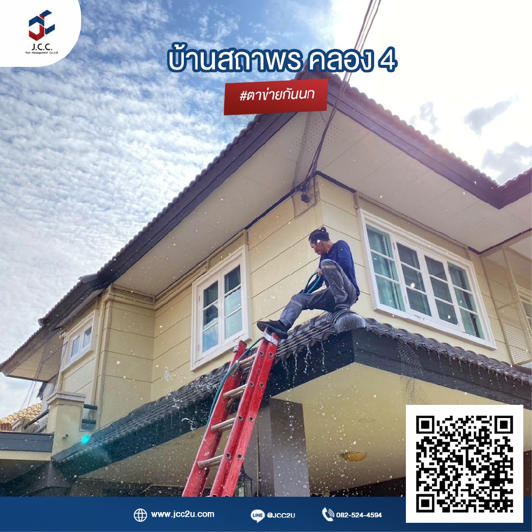 ไล่นกบ้าน 14