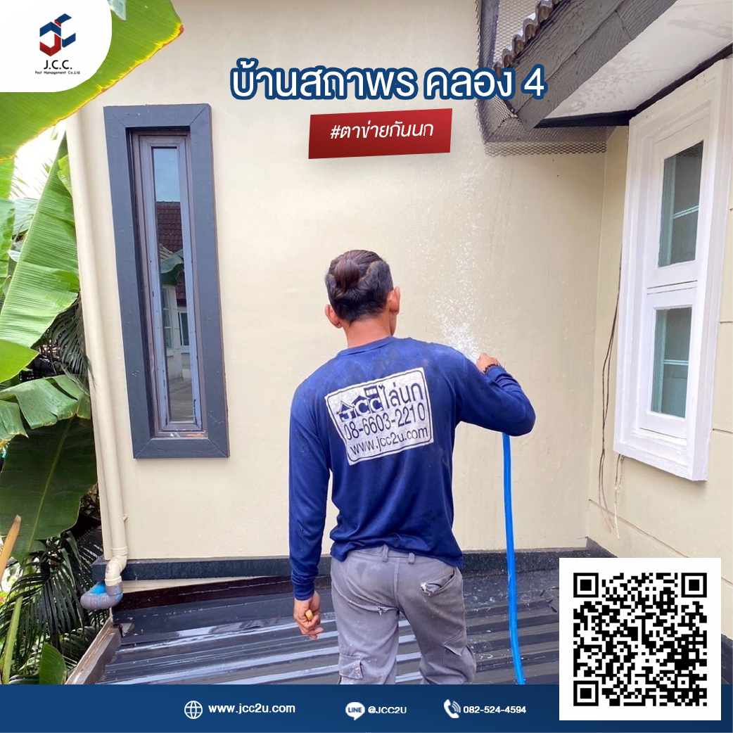 ไล่นกบ้าน 15