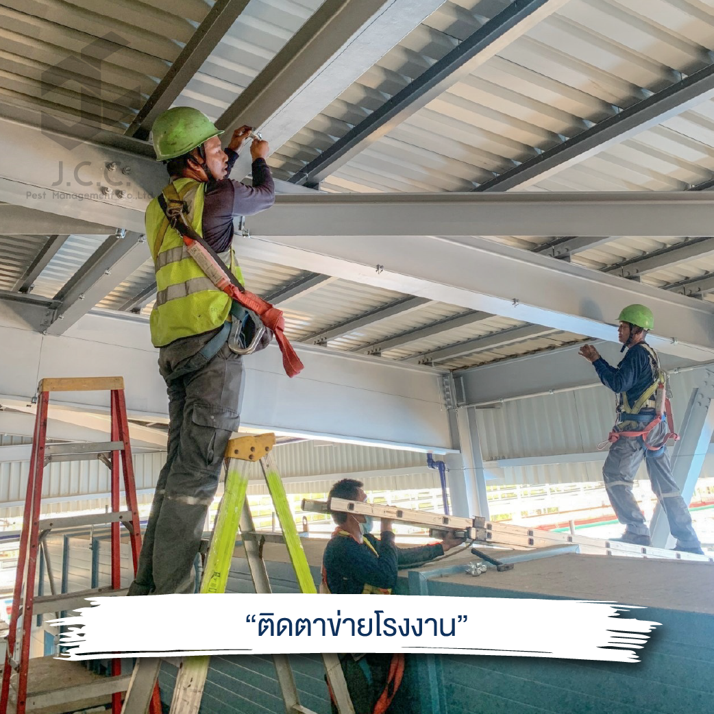 ไล่นกโรงงาน 01