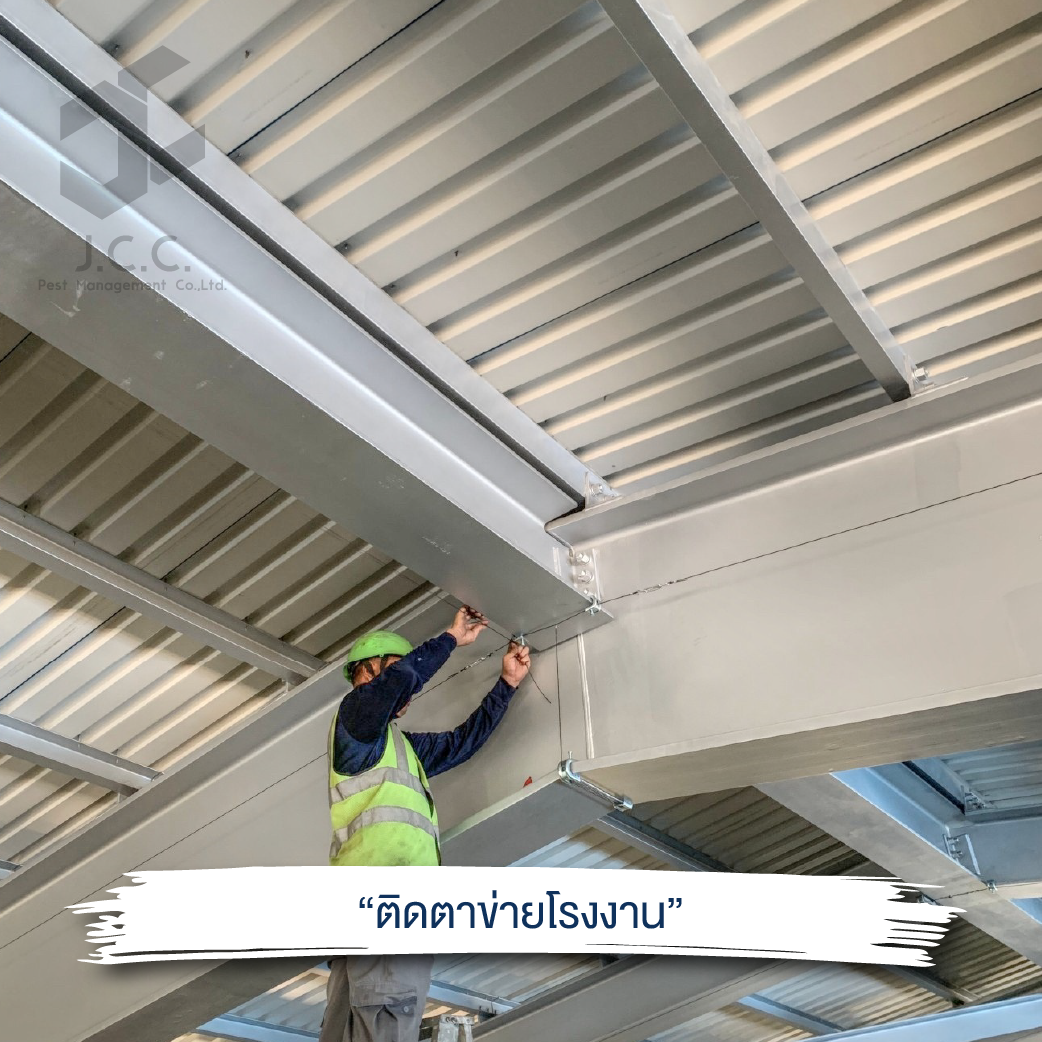 ไล่นกโรงงาน 03