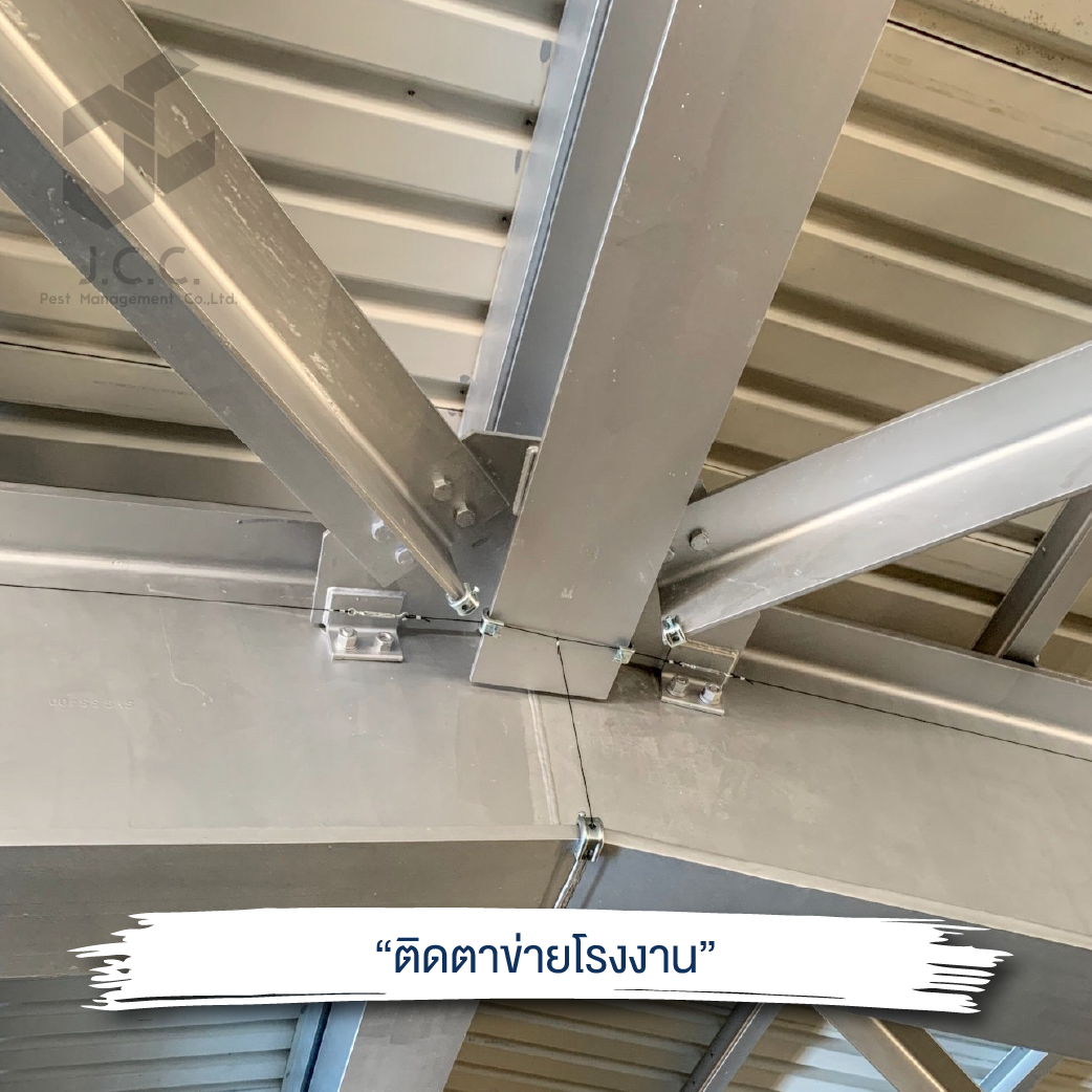 ไล่นกโรงงาน 04