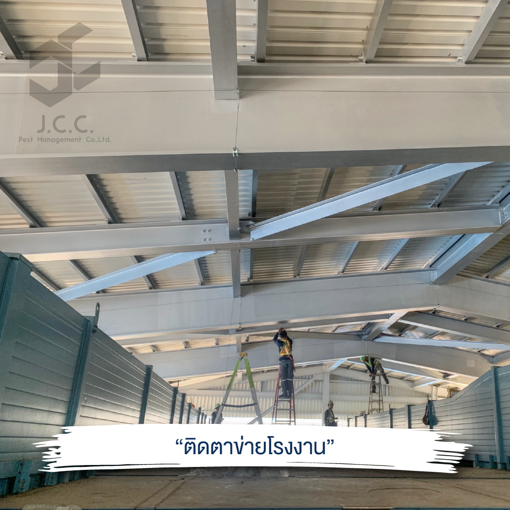 ไล่นกโรงงาน 05