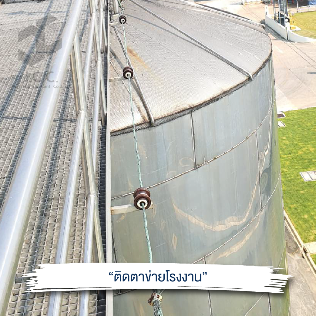 ไล่นกโรงงาน 06