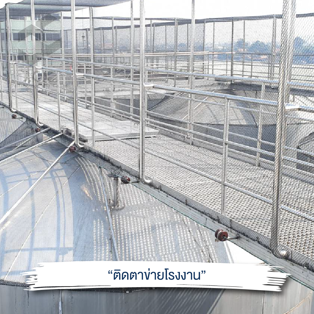 ไล่นกโรงงาน 08