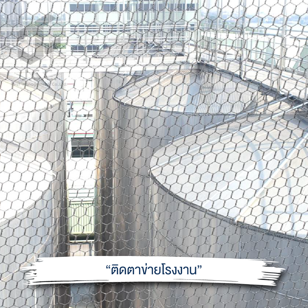 ไล่นกโรงงาน 09