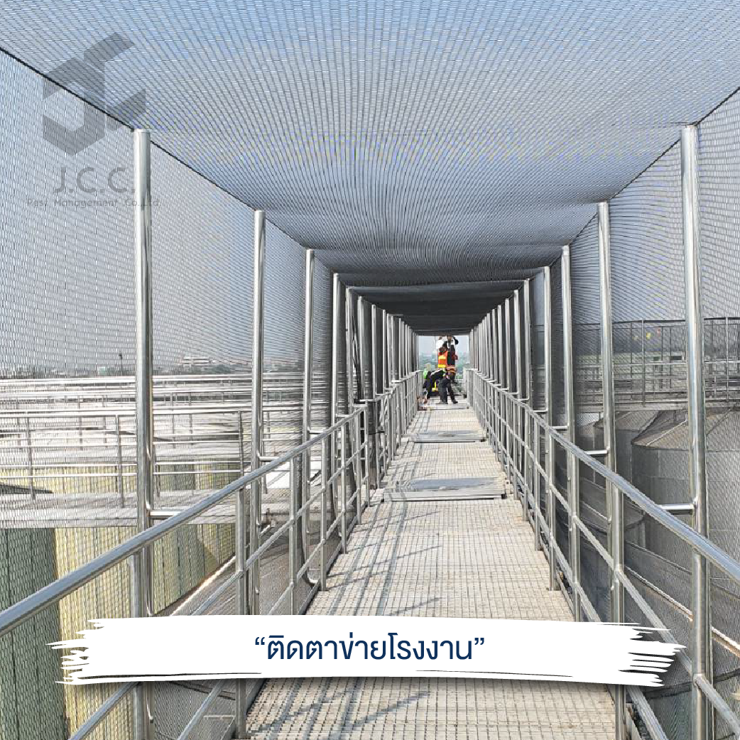 ไล่นกโรงงาน 10