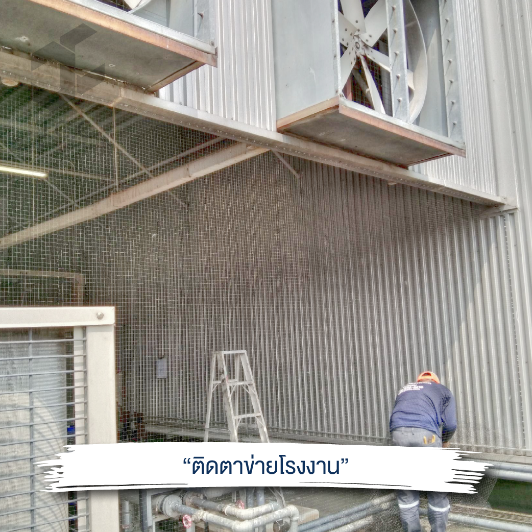 ไล่นกโรงงาน 11