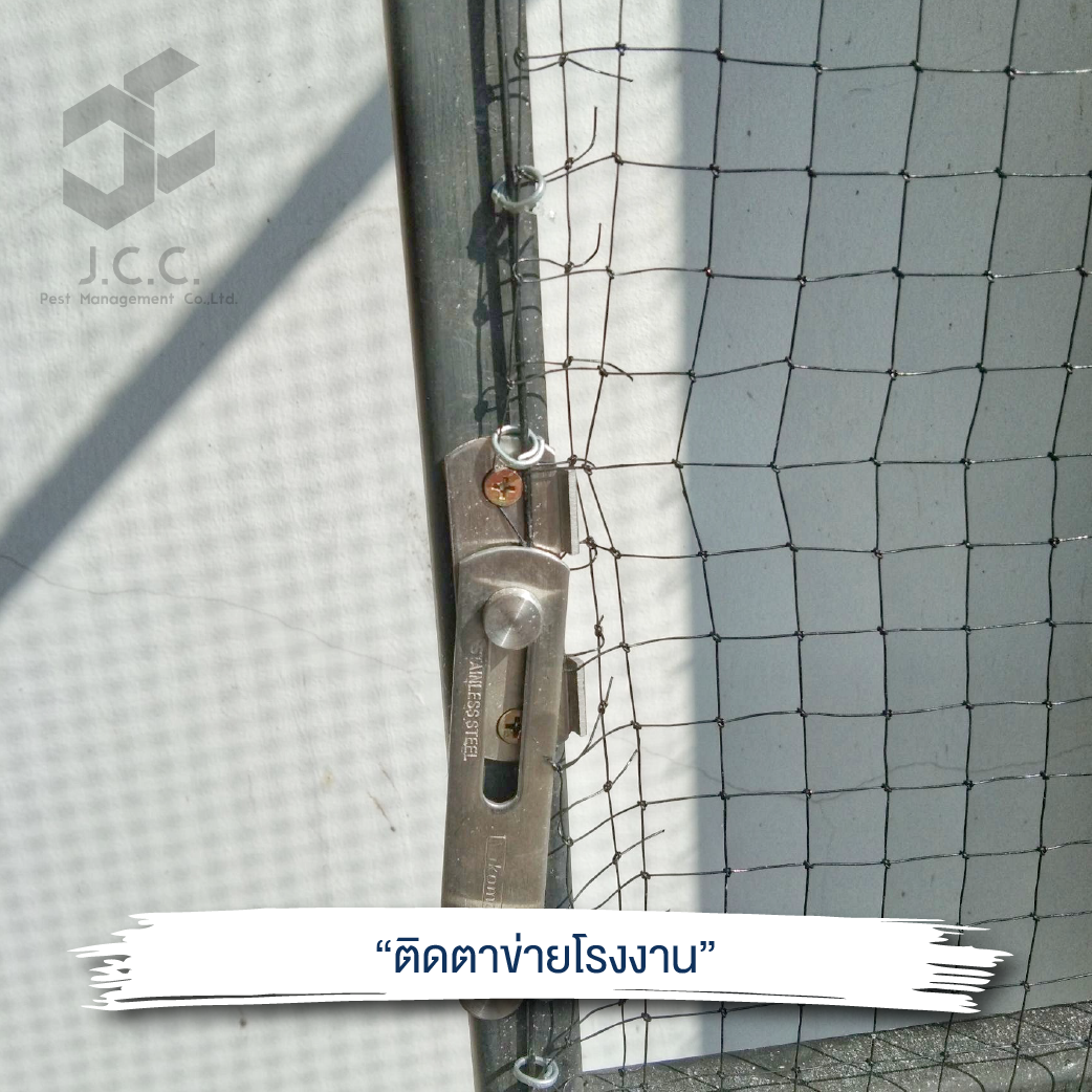 ไล่นกโรงงาน 14