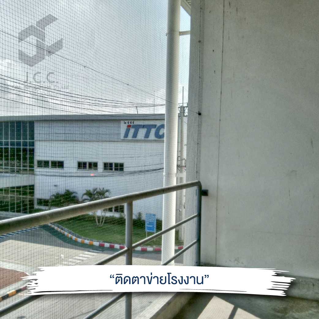 ไล่นกโรงงาน 15